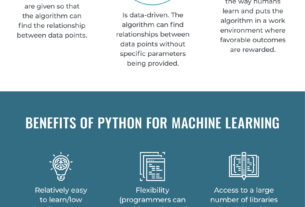 Understanding The Value Provided By Python In A Number Of Businesses’ Processes
